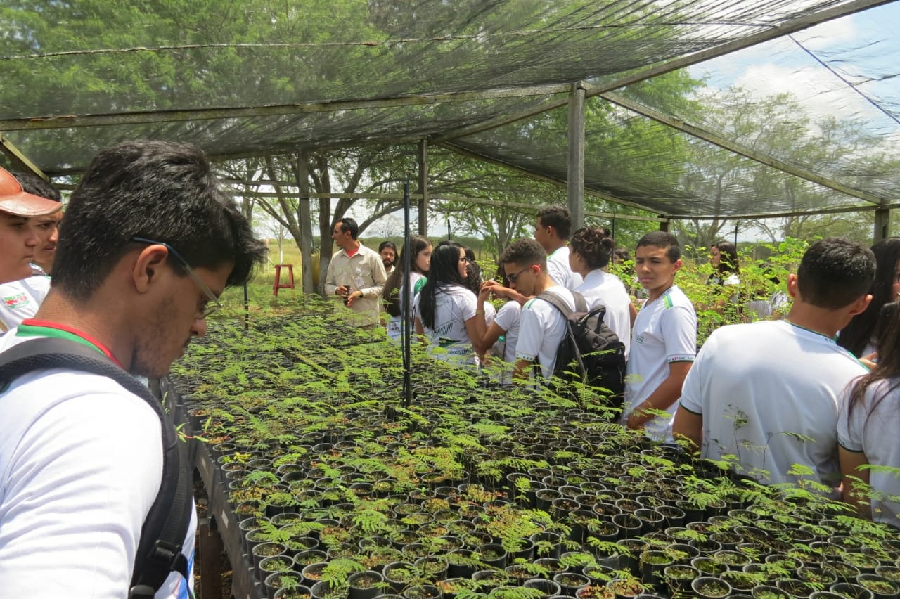 Leia mais sobre o artigo Estudantes conhecem o Centro de Educação Ambiental da MVV