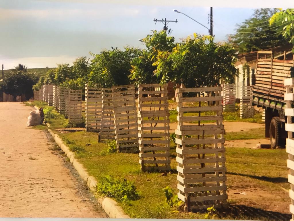 Leia mais sobre o artigo Batalha Verde: Prefeitura apresenta resultados após parceria com MVV