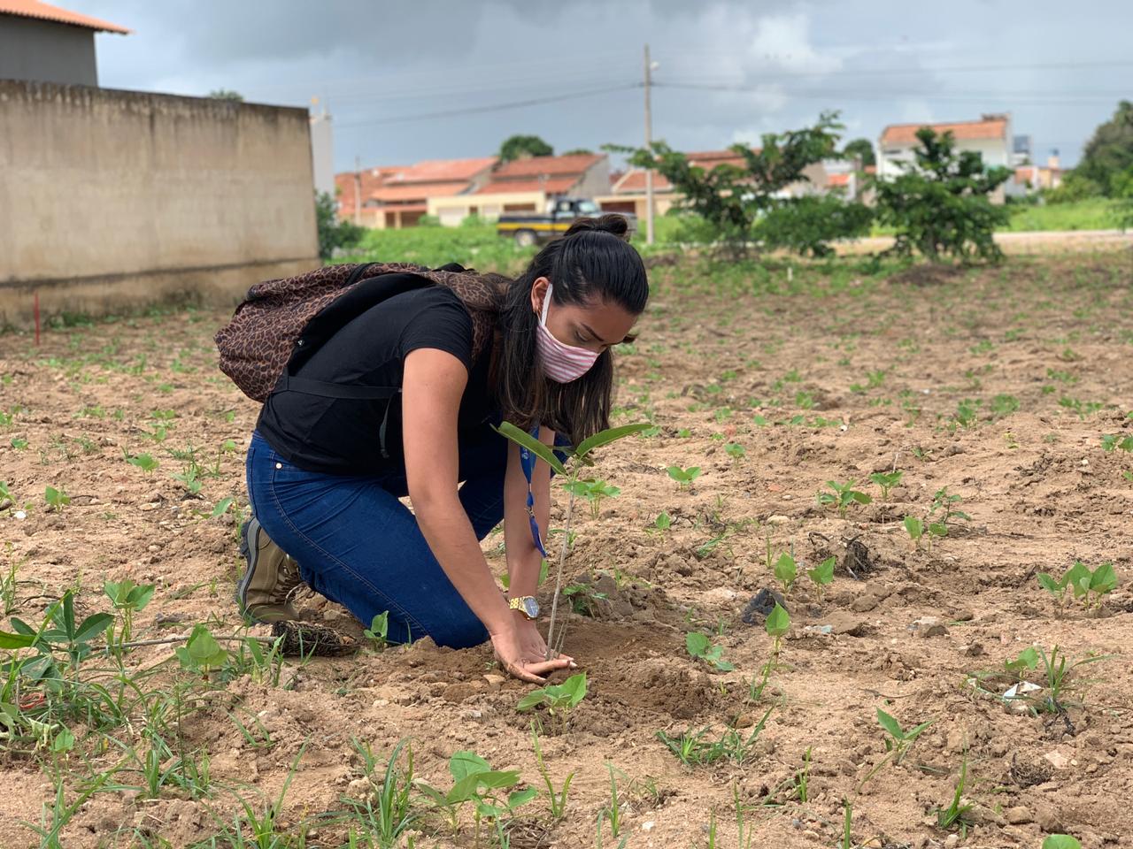 Leia mais sobre o artigo Parceria entre MVV e Prefeitura garante plantio de 140 mudas na Área Verde de Arapiraca