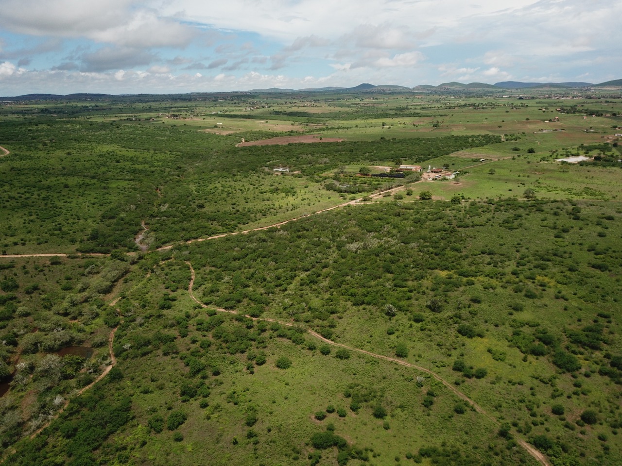 Leia mais sobre o artigo Dia do Meio Ambiente: biodiversidade é preservada no Projeto Serrote