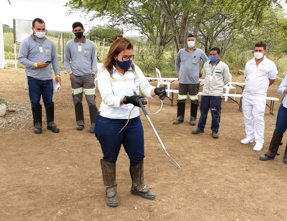 Leia mais sobre o artigo Centro de Educação Ambiental recebe curso de captura de animais peçonhentos