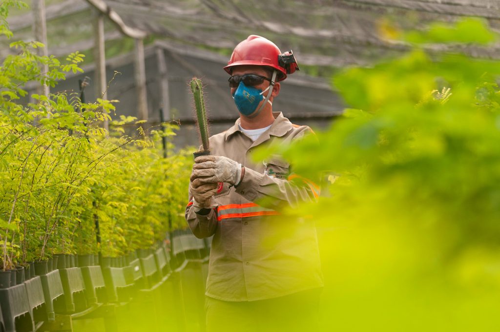 Leia mais sobre o artigo Centro de Educação Ambiental atinge marca de 100 mil mudas nativas plantadas