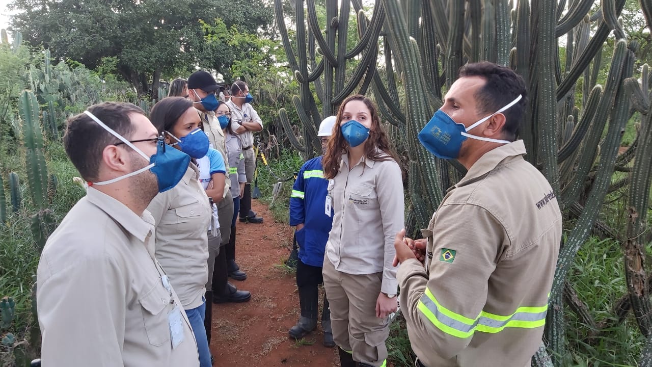 Leia mais sobre o artigo Dia da Caatinga: Centro de Educação Ambiental recebem visita dos nossos empregados(as)