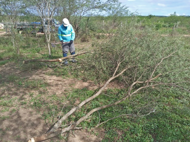 Leia mais sobre o artigo Programa de Proteção à Flora erradica espécies invasoras em nosso site