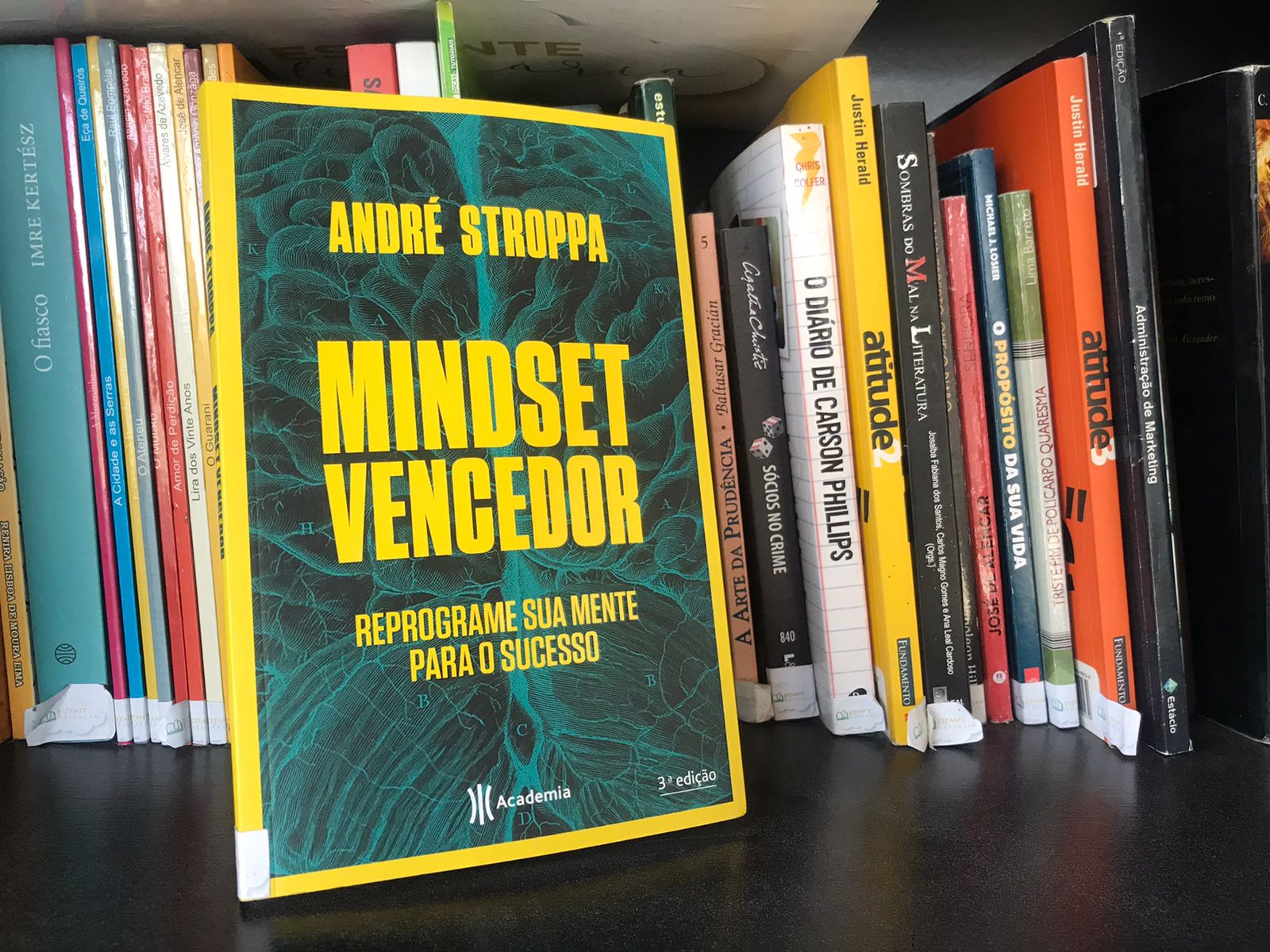 Leia mais sobre o artigo Livro do Mês: você conhece a sua mente? Confira “Mindset Vencedor”, de André Stroppa