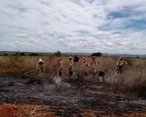 BRIGADA-DE-INCENDIO-3