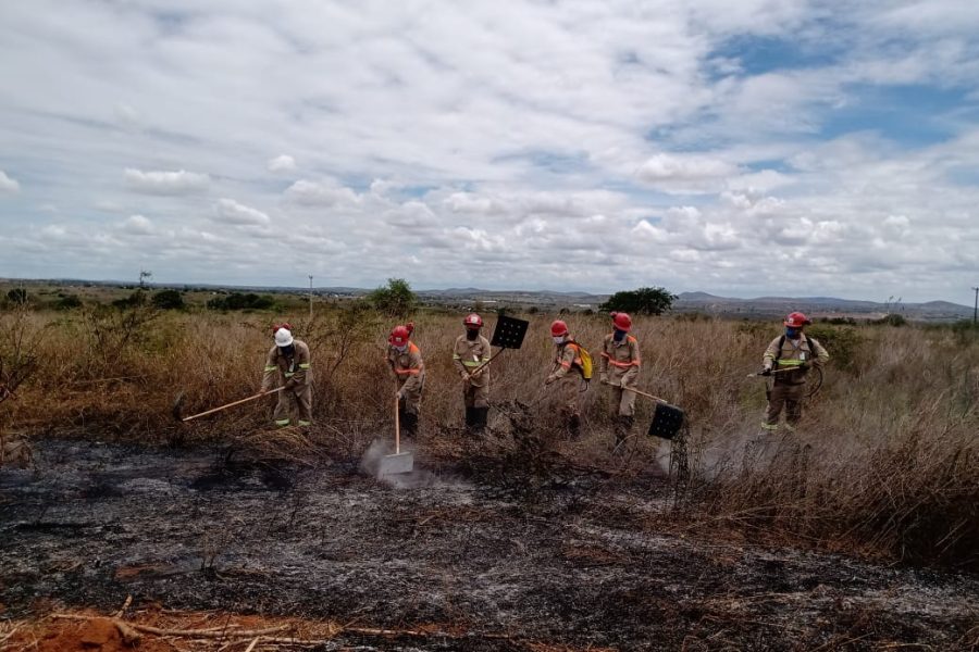 BRIGADA-DE-INCENDIO-3