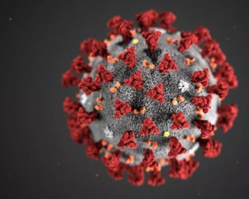 CORONAVIRUS